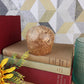 Hand Crafted Wooden Trinket Pot