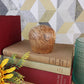 Hand Crafted Wooden Trinket Pot